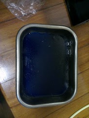 IMAG0284